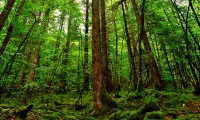 世界登山青年导师长期追踪研究第46期数据摘要发布，登山专家